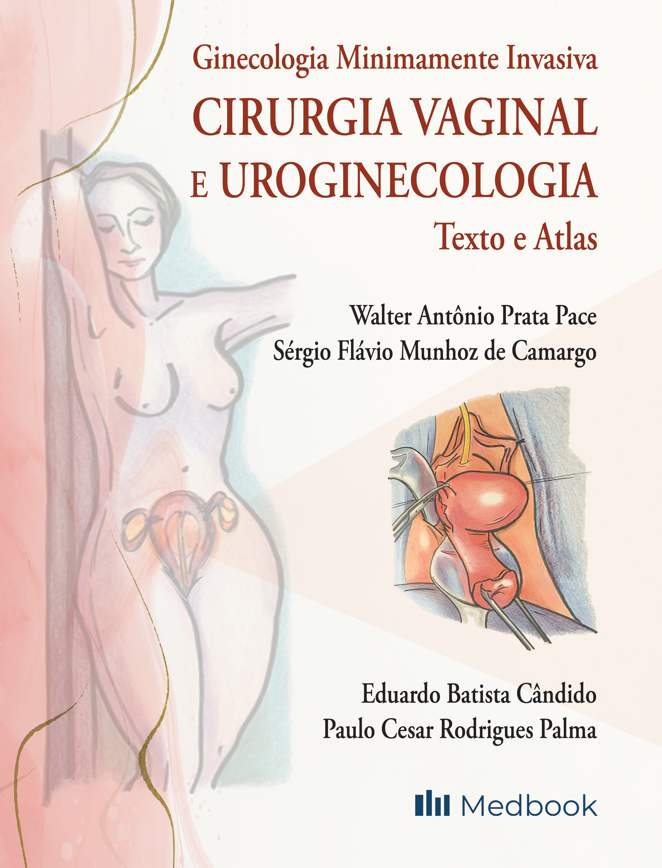 Ginecologia Minimamente Invasiva: Cirurgia Vaginal E Uroginecologia